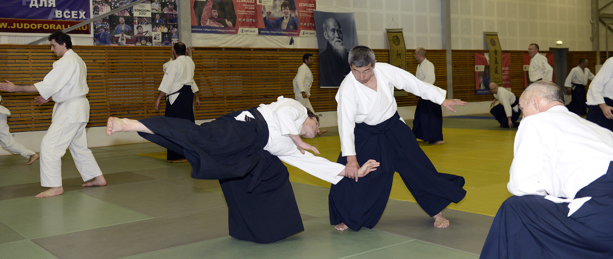 the Annual International Aikido Seminar directed by Shihan Shoji Seki (8 dan, Aikikai Hombu Dojo)